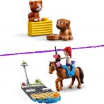 LEGO Friends Heartlake City Vet Clinic Animal Rescue Building Set