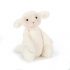 Bashful Lamb – Medium