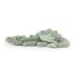 Sage Dragon Little
