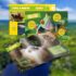 Cubic Fun National Geographic Kids Amazon Rainforest