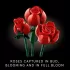 LEGO® ICONS Bouquet of Roses Building Kit 10328