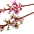 LEGO® Iconic Cherry Blossoms 40725