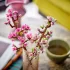 LEGO® Iconic Cherry Blossoms 40725