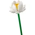 LEGO® Iconic Lotus Flowers 40647