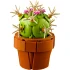 LEGO® ICONS™ Tiny Plants 10329